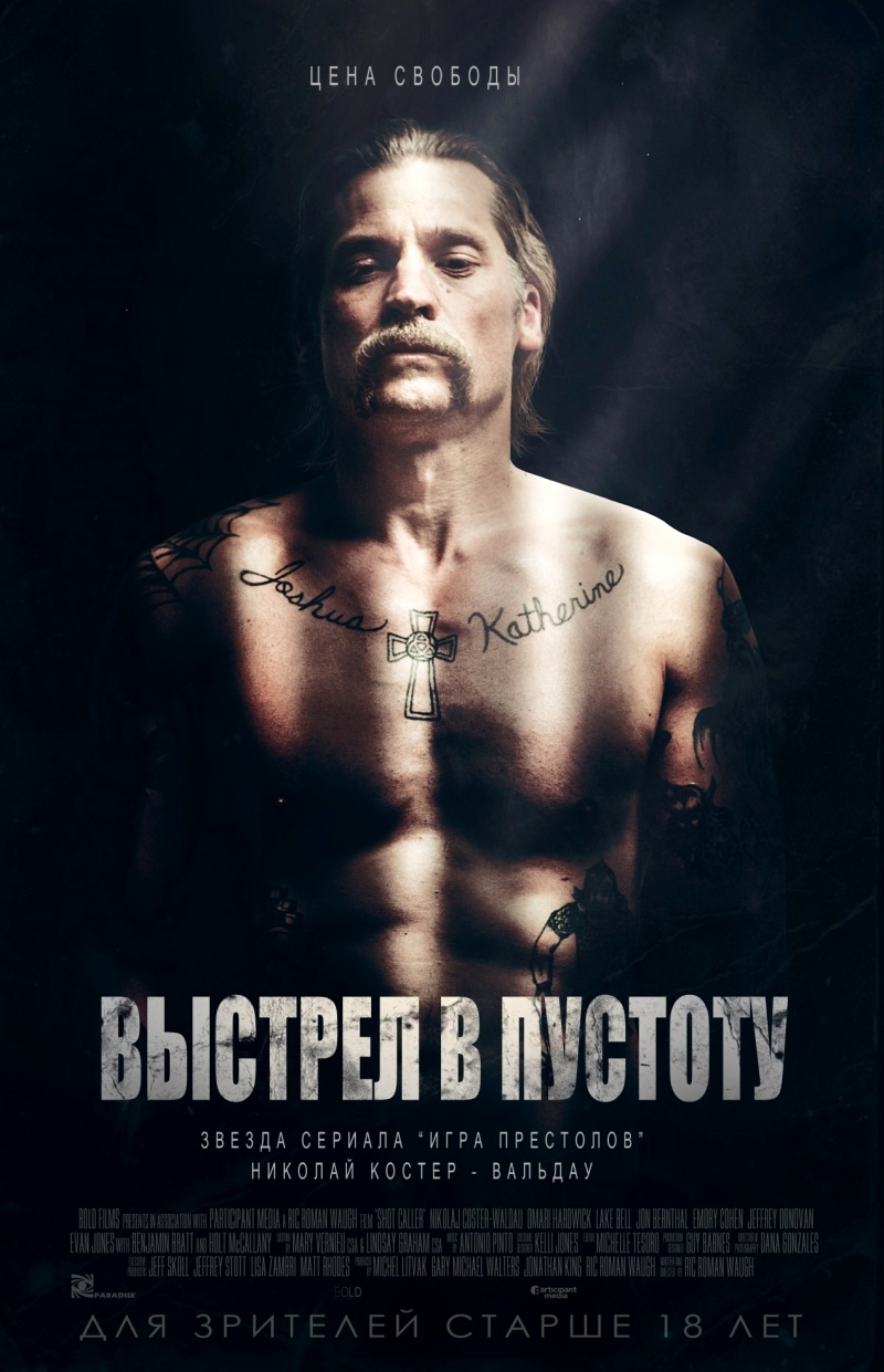 Выстрел в пустоту (2017) BDRip | Лицензия